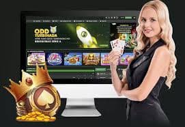 dicas bet hoje